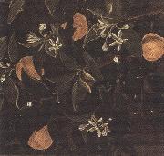 Sandro Botticelli Details of Primavera (mk36) oil on canvas